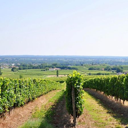 Clos Saint Sauveur - Guesthouse Au Coeur Des Vignes Sur Le Coteau Esterno foto