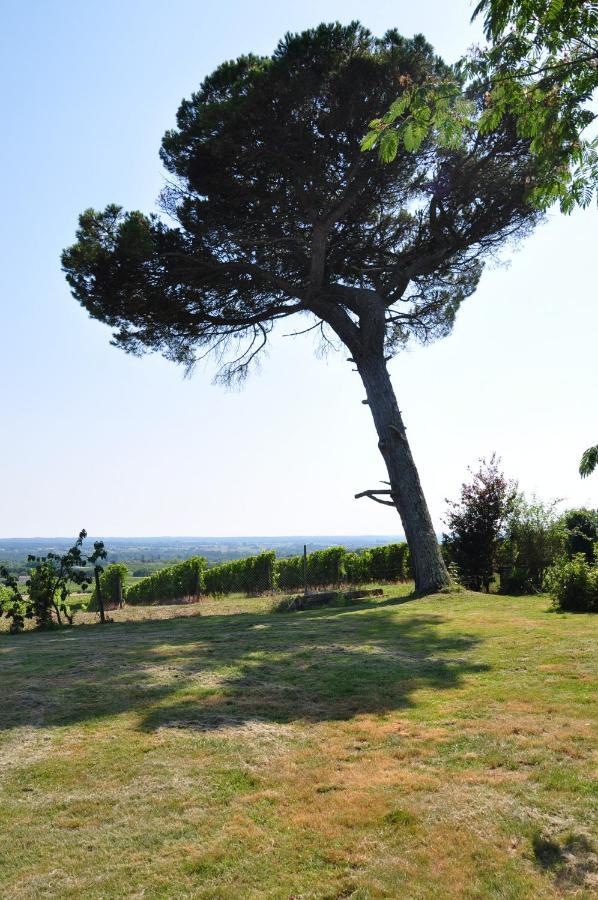 Clos Saint Sauveur - Guesthouse Au Coeur Des Vignes Sur Le Coteau Esterno foto
